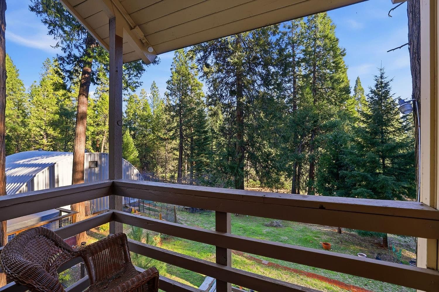 The deck reaching into the surrounding forest