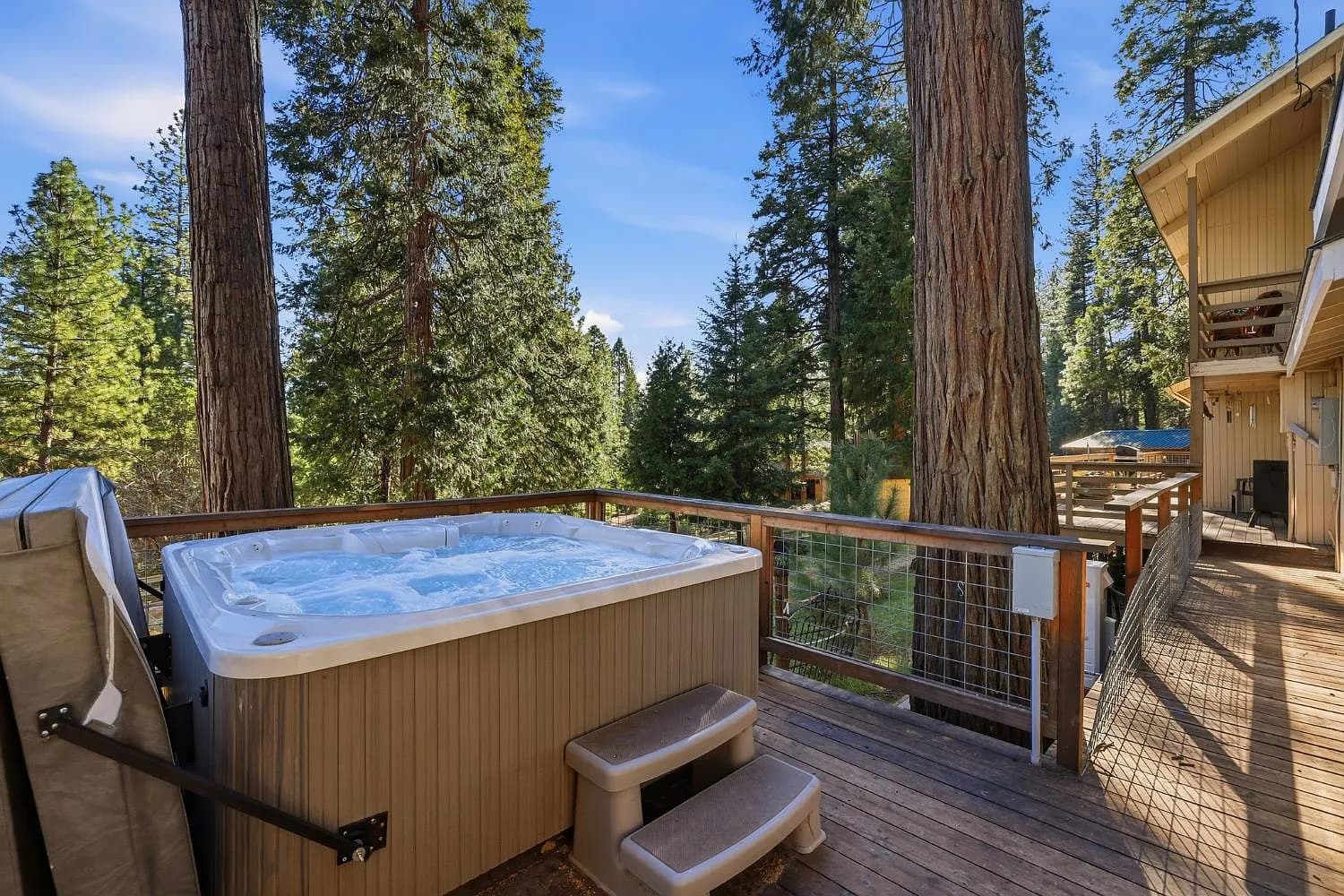 The hot tub on the deck beneath the pines