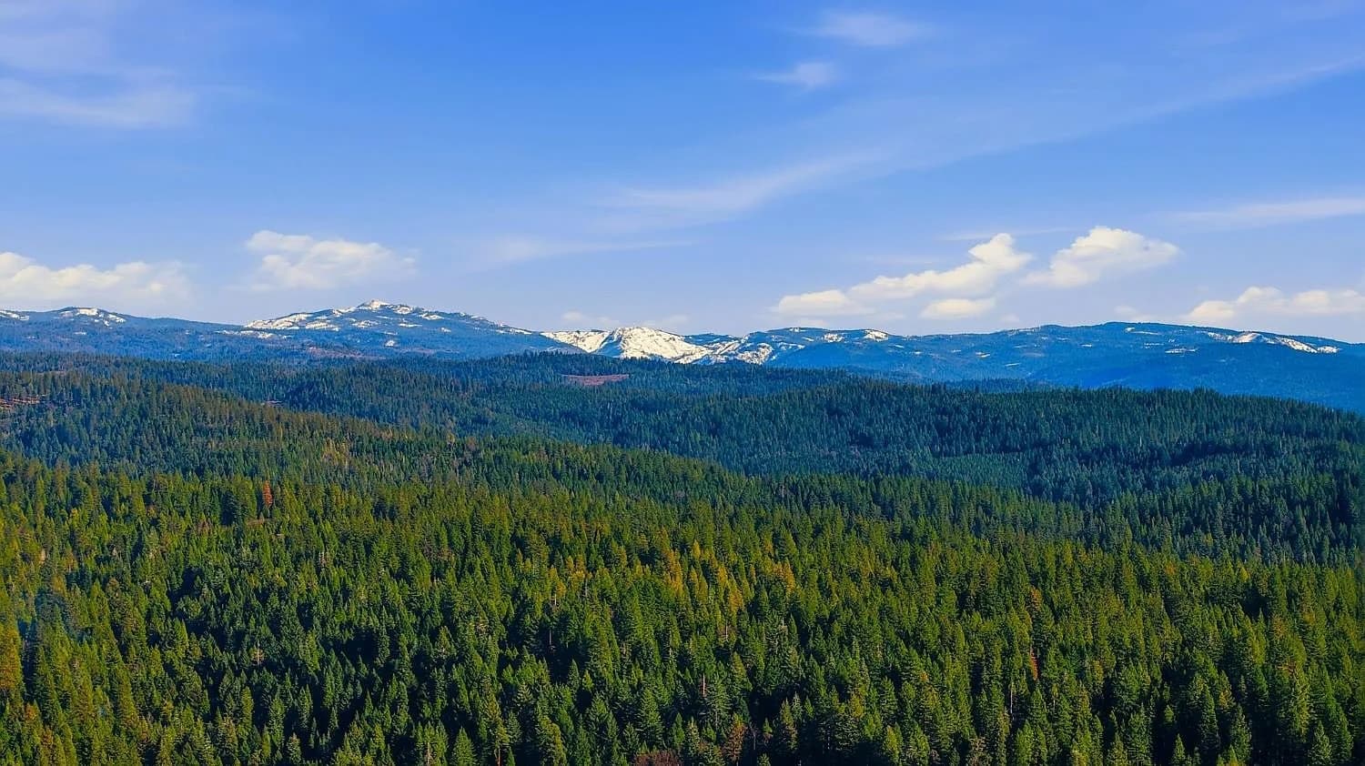 Aerial view of the property among the Sierra pines